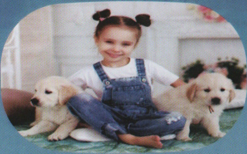 Adultos con mascotas